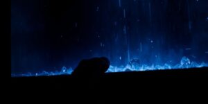 The Digital Chains Are Tightening: How a Simple Wi-Fi Tweak Signals Deeper American Erosion