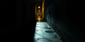 OUR BORDERS ARE BLEEDING US DRY: REFUGEE’S DEATH EXPOSES THE COLLAPSE OF AMERICAN SANITY AND SECURITY